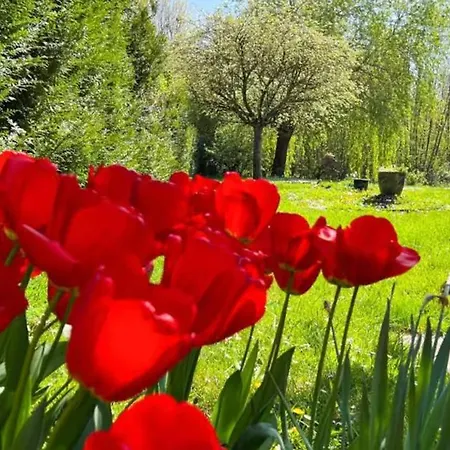 De Jardin Monet Giverny Vernon Sainte-Genevieve-les-Gasny